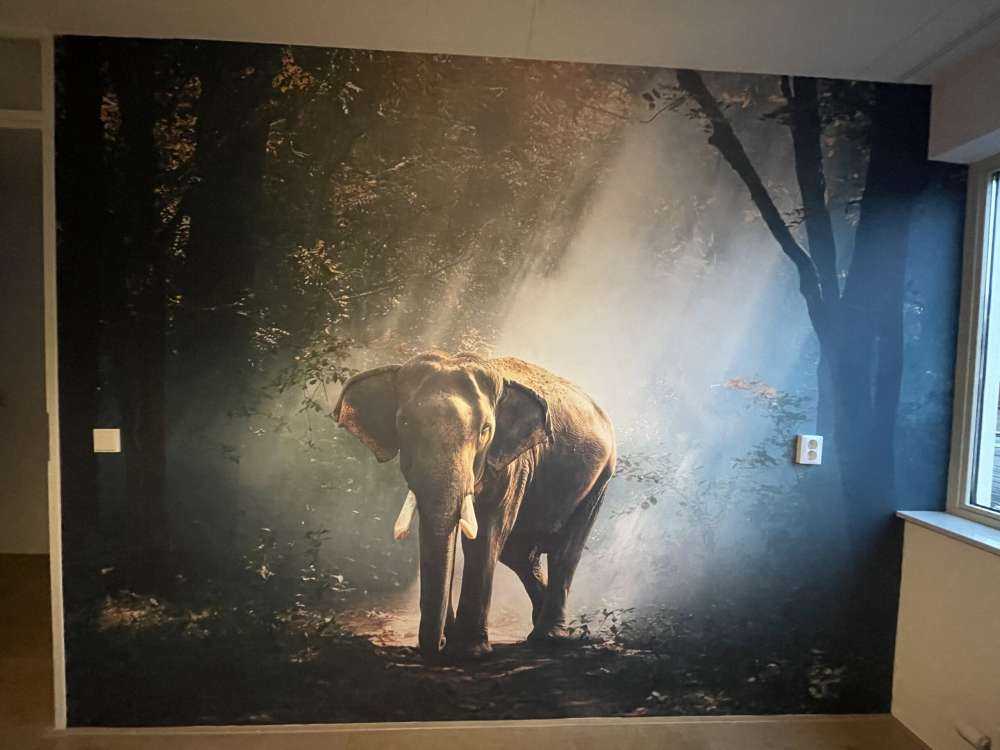 Elefant im Dschungel