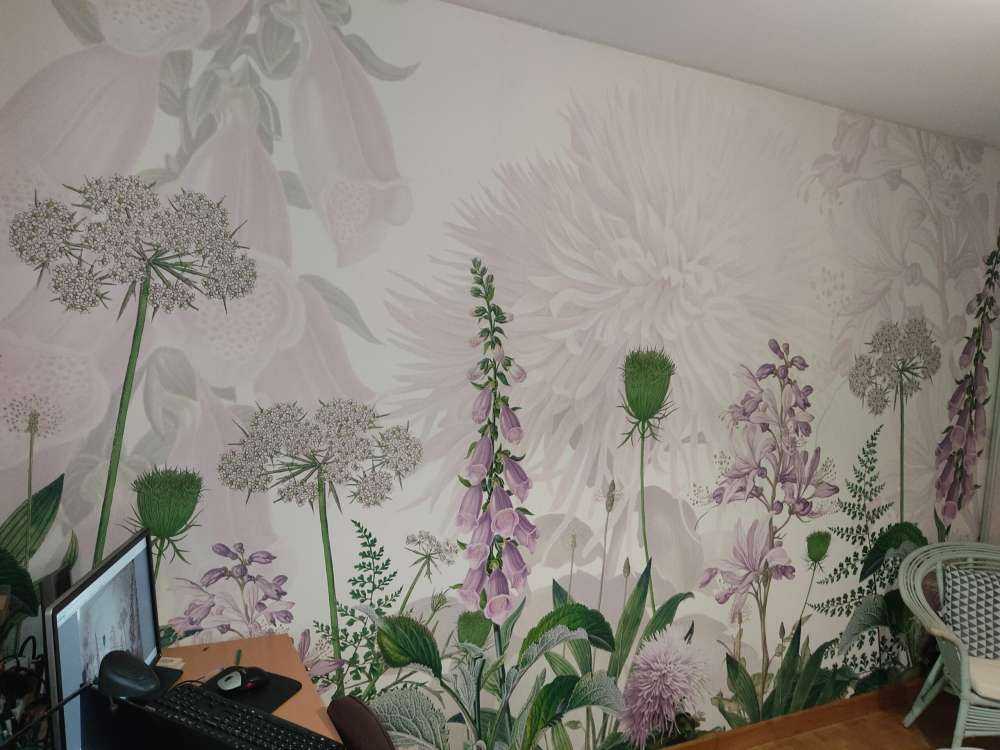 Foxglove Flowers