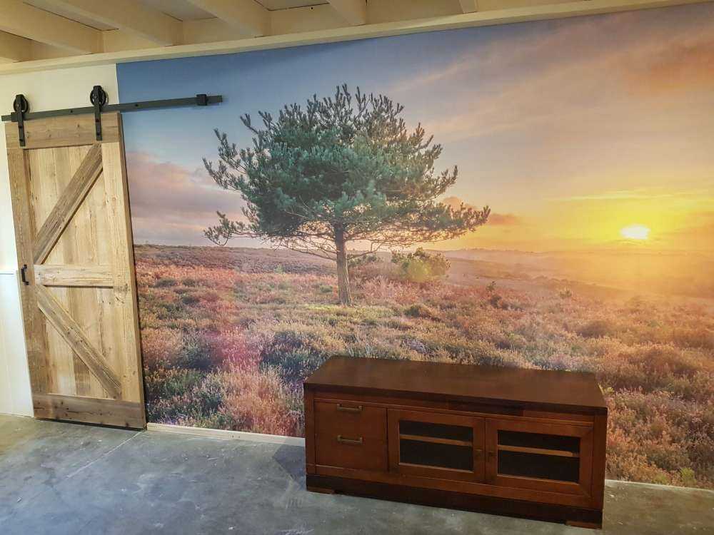 Sonnenuntergang in der Heidelandschaft