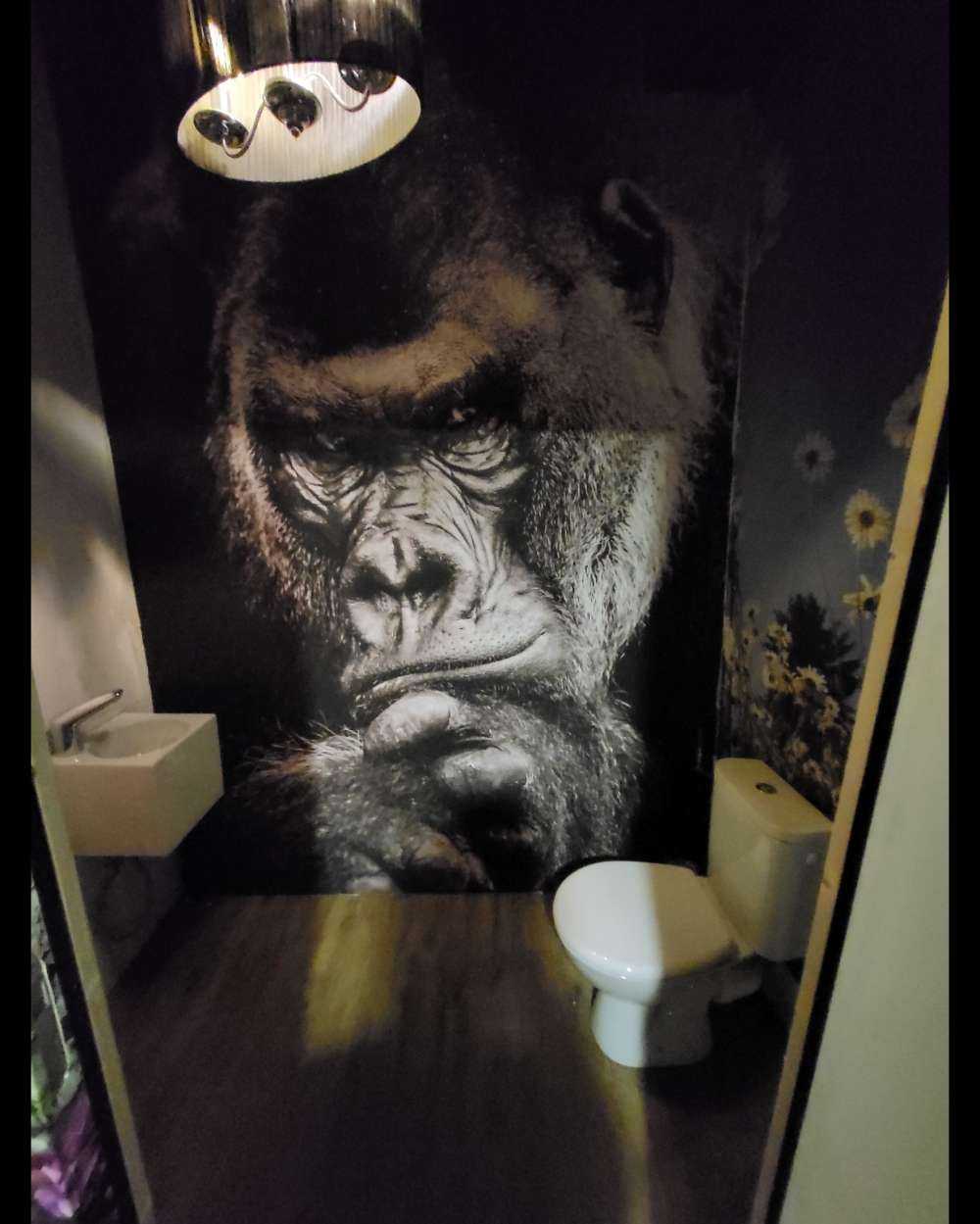 Nahaufnahme Gorilla