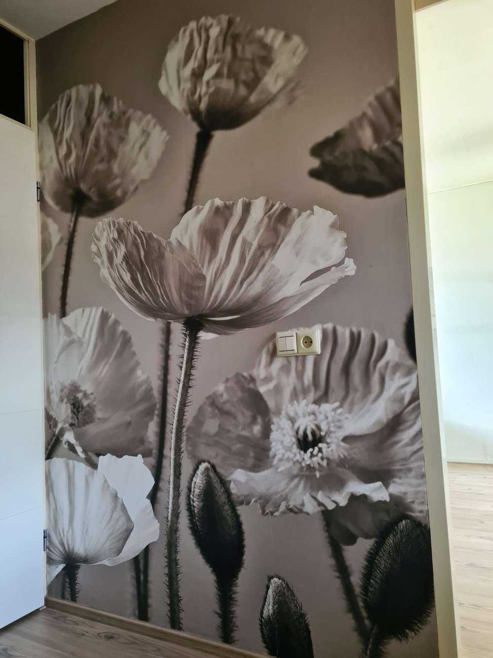Mohnblumen vintage