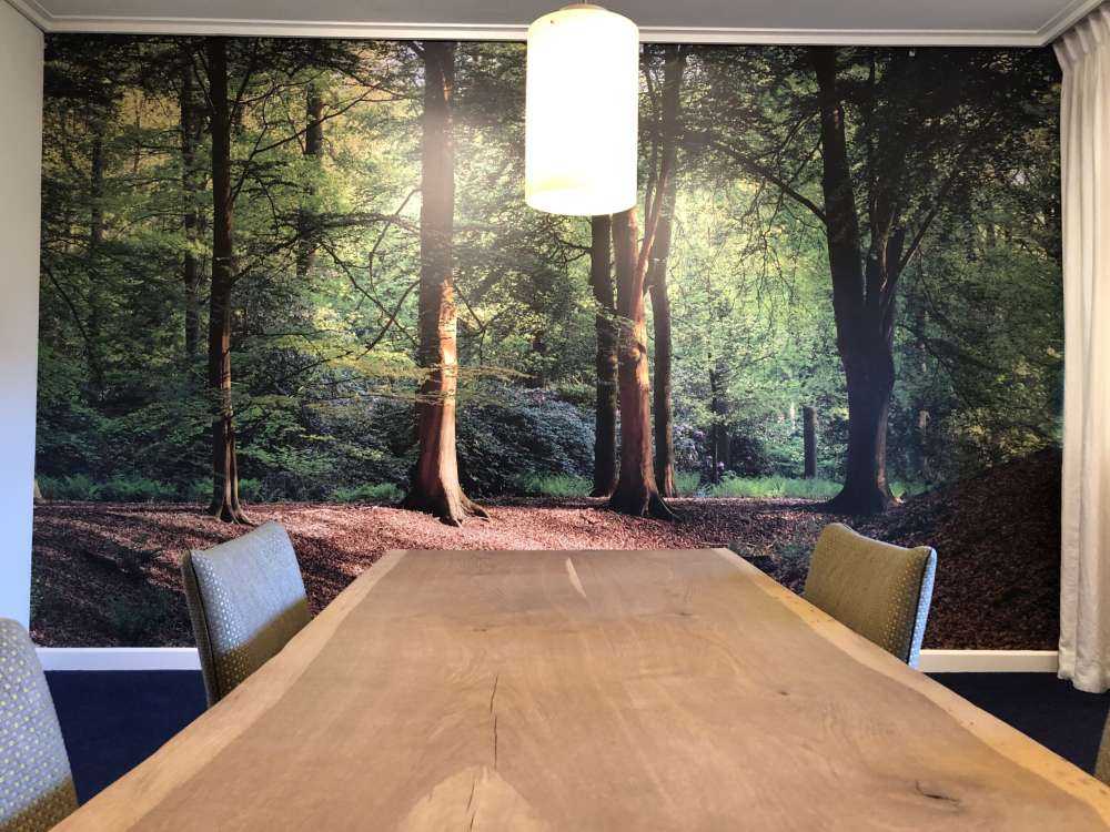 Bächlein im Wald