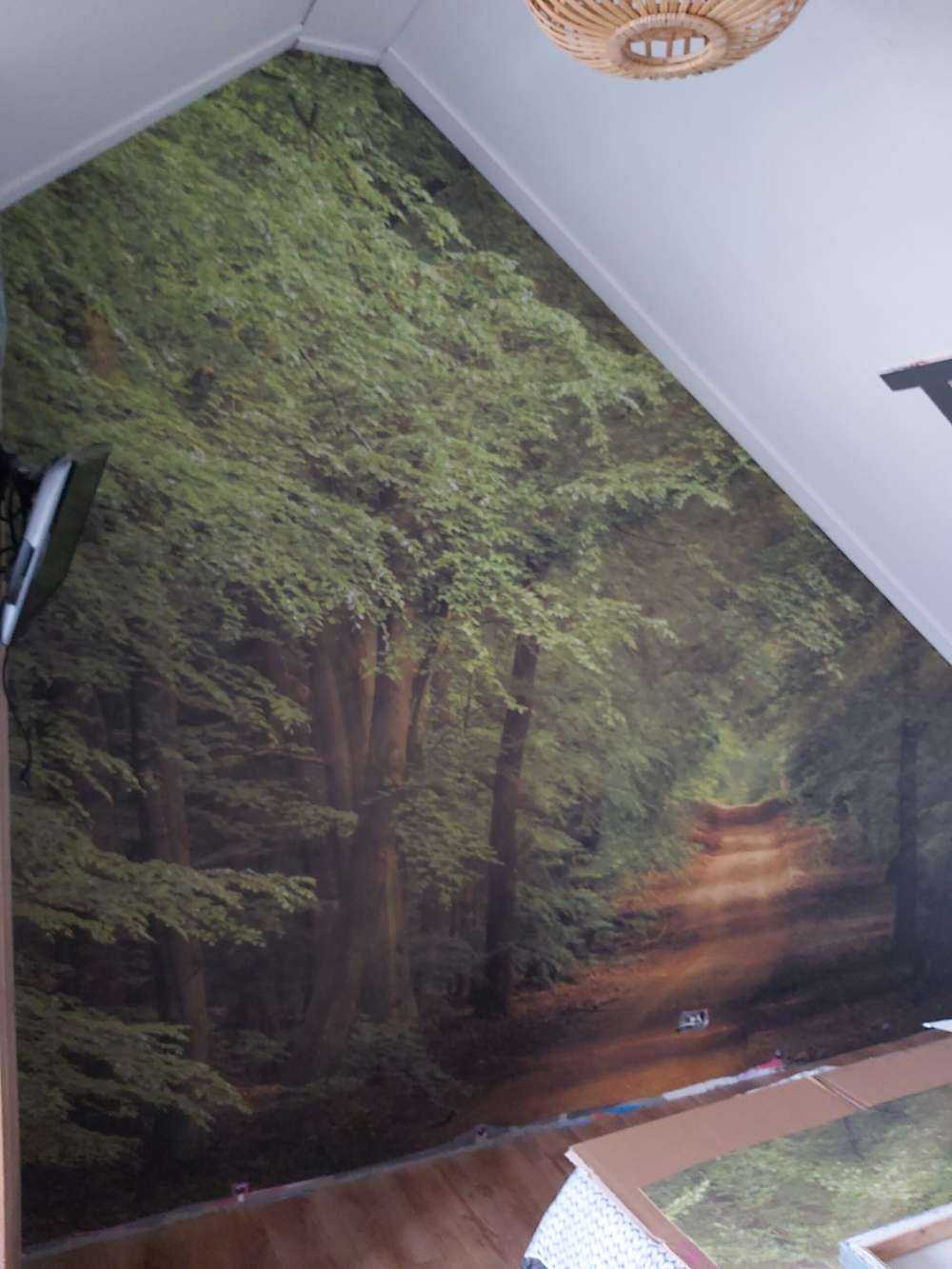 Weg im Wald mit Sonnenstrahlen