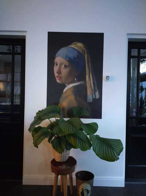 Mädchen mit der Perle