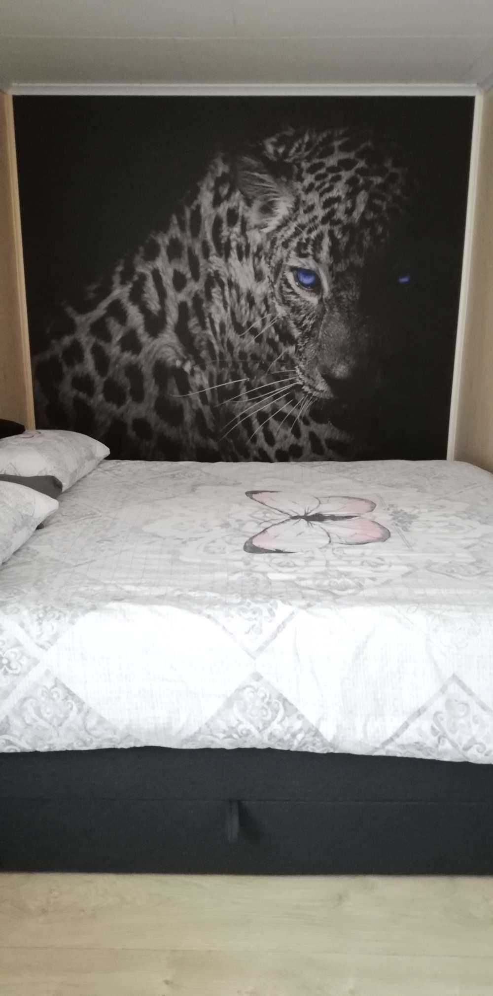 Leopard auf schwarzem Hintergrund