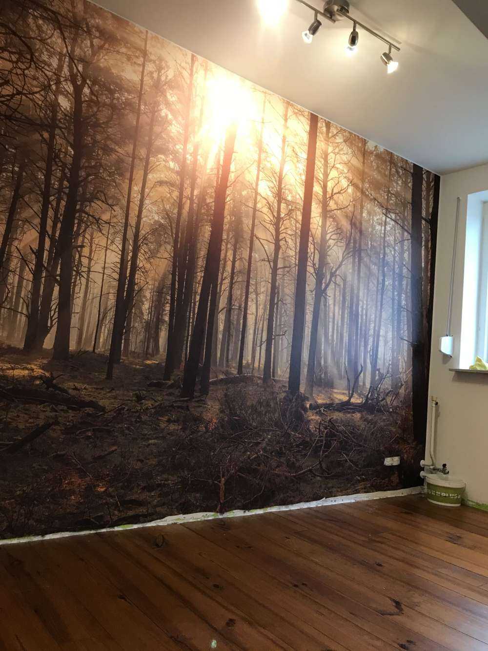 Wald mit hohen Bäumen
