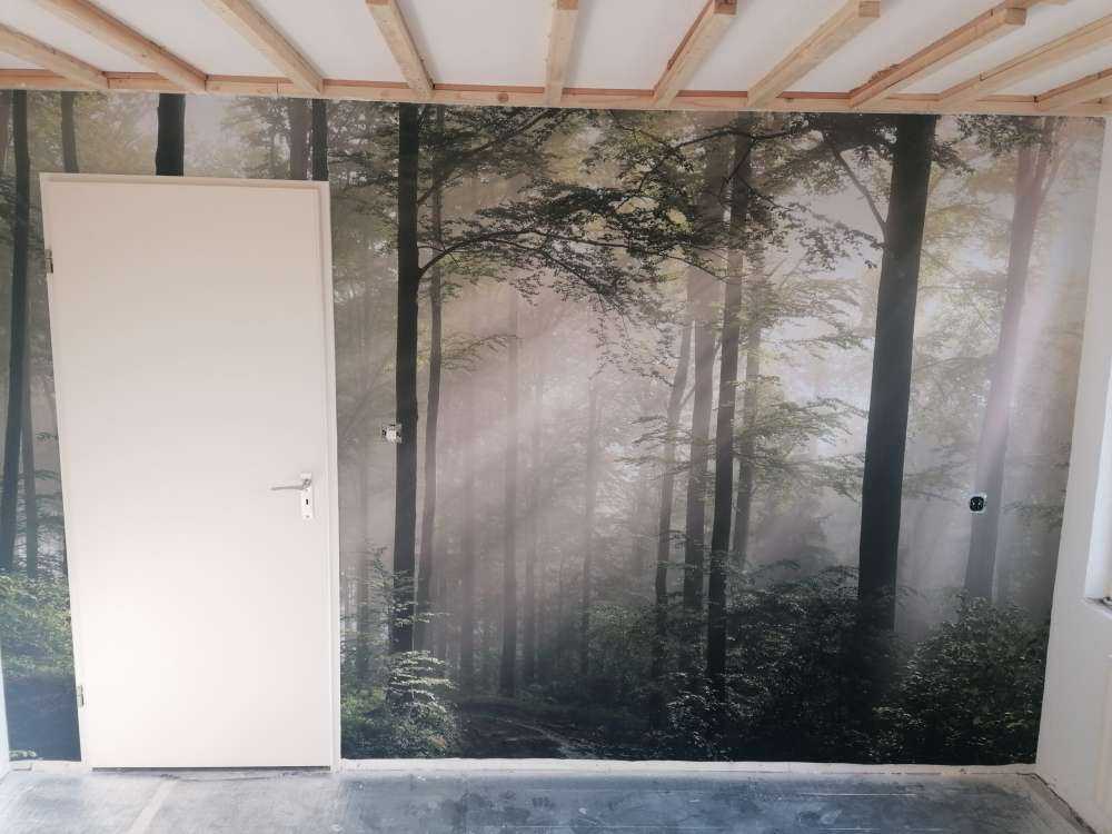 Grüner Wald im Nebel