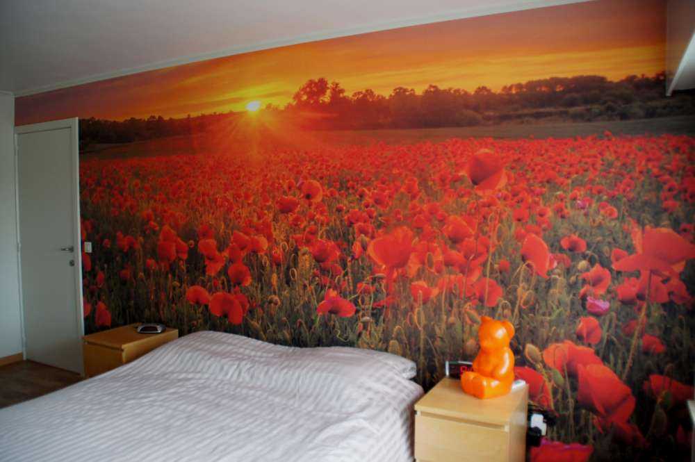 Feld mit Mohnblumen