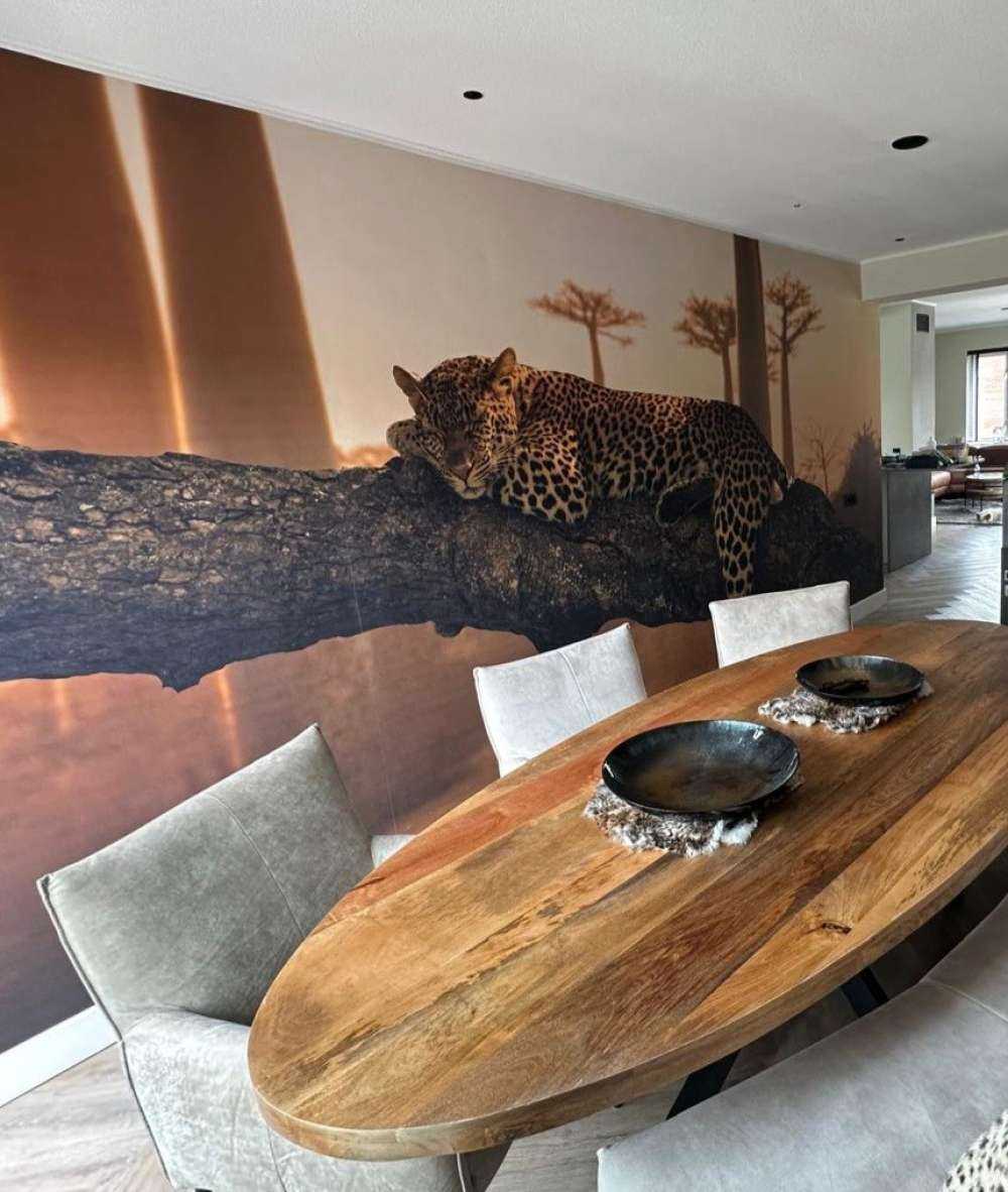 Schlafender Leopard
