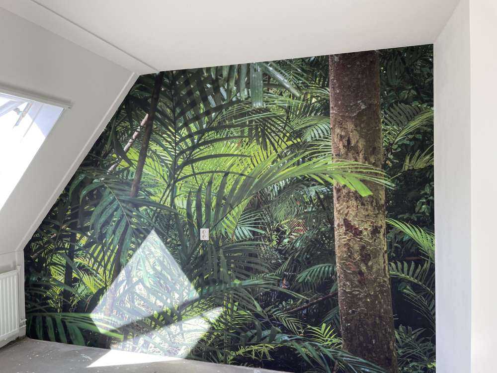 Tropischer Regenwald