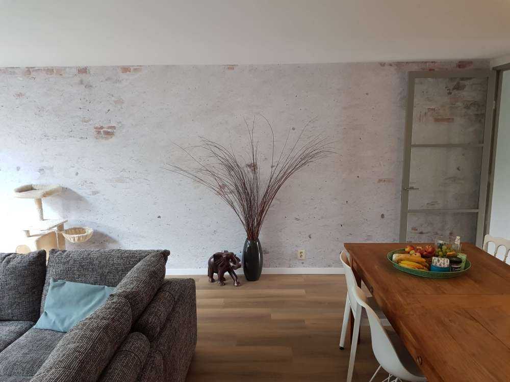 Alte Mauer mit Stuck
