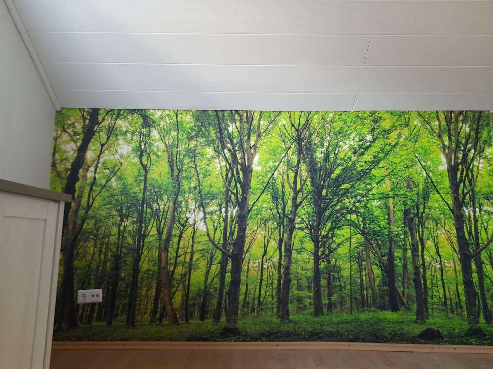 Üppiger Wald