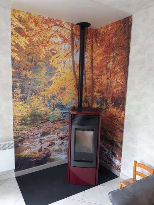 Herbst im wilden Wald