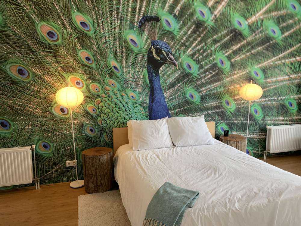 Pfau