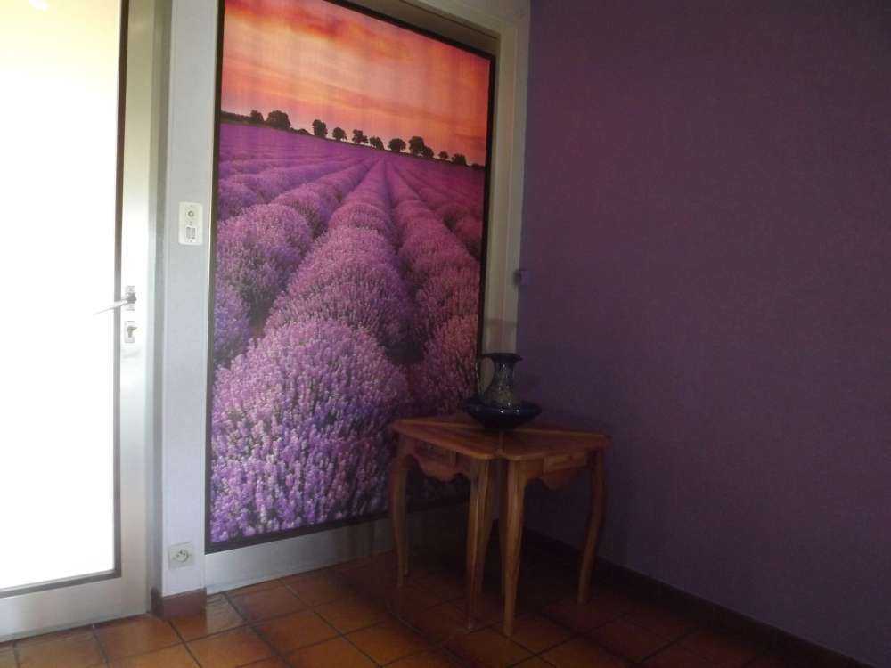 Feld mit Lavendel