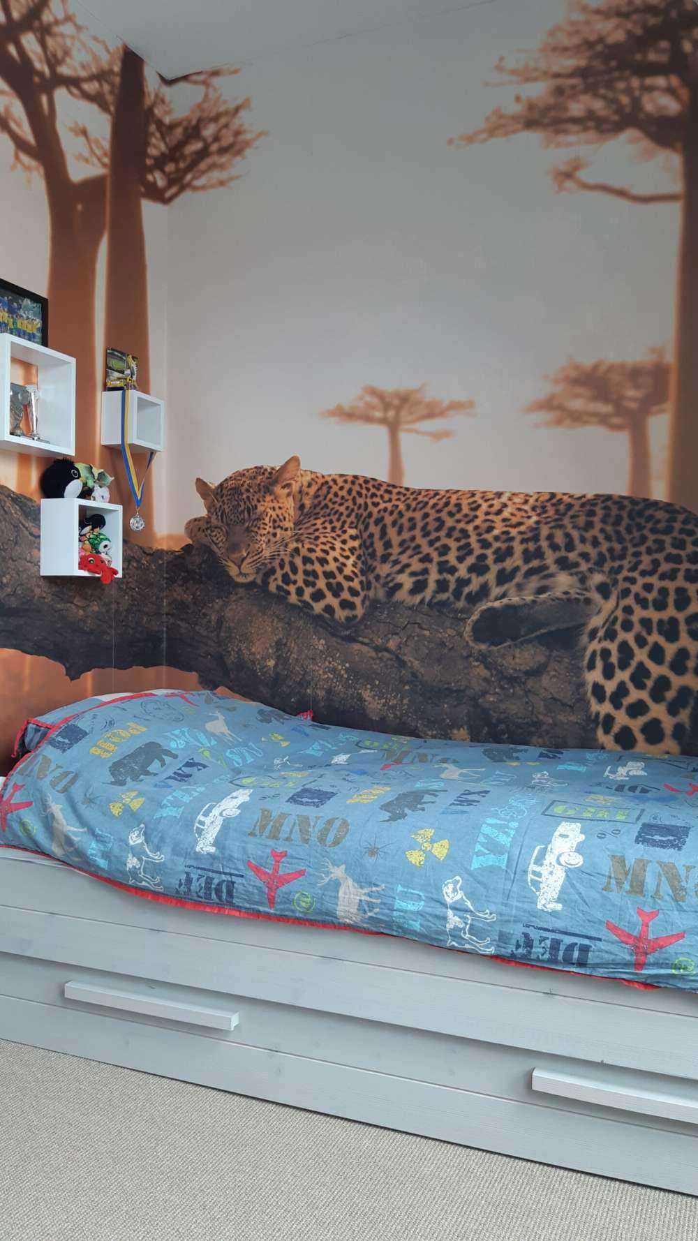 Schlafender Leopard