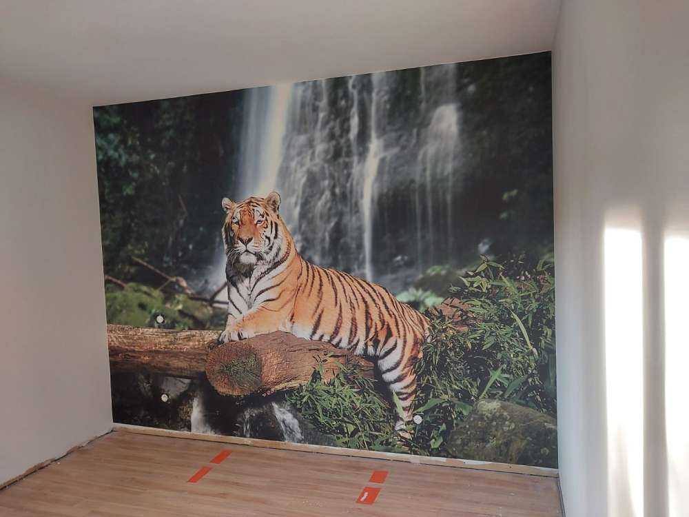 Tiger im Dschungel