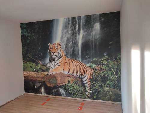 Tiger im Dschungel