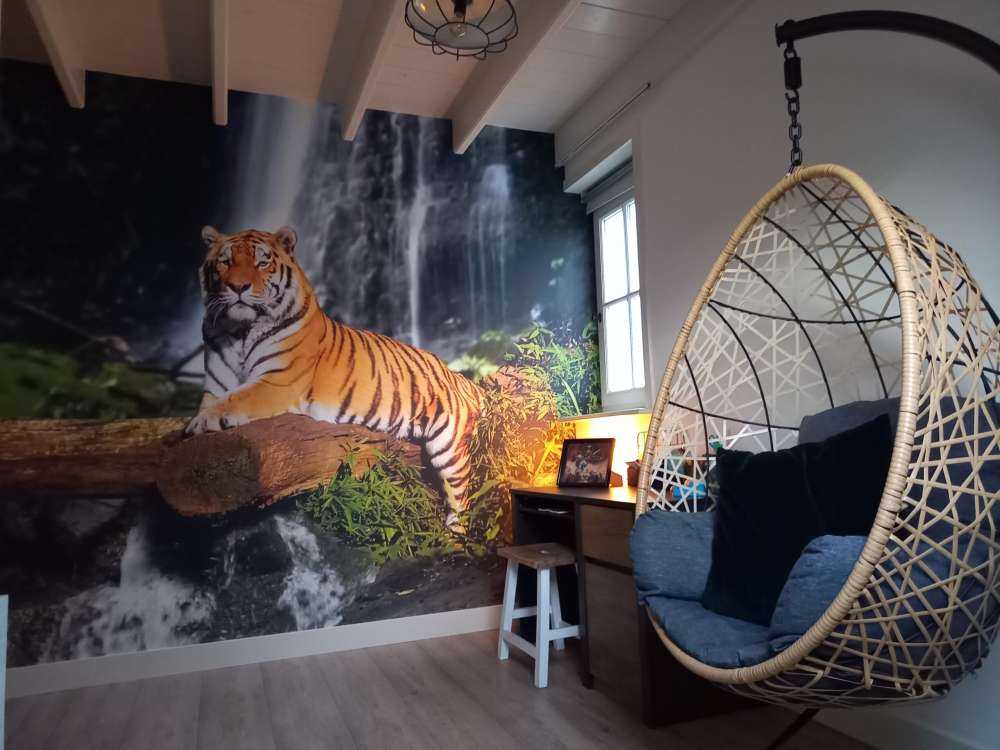 Tiger im Dschungel