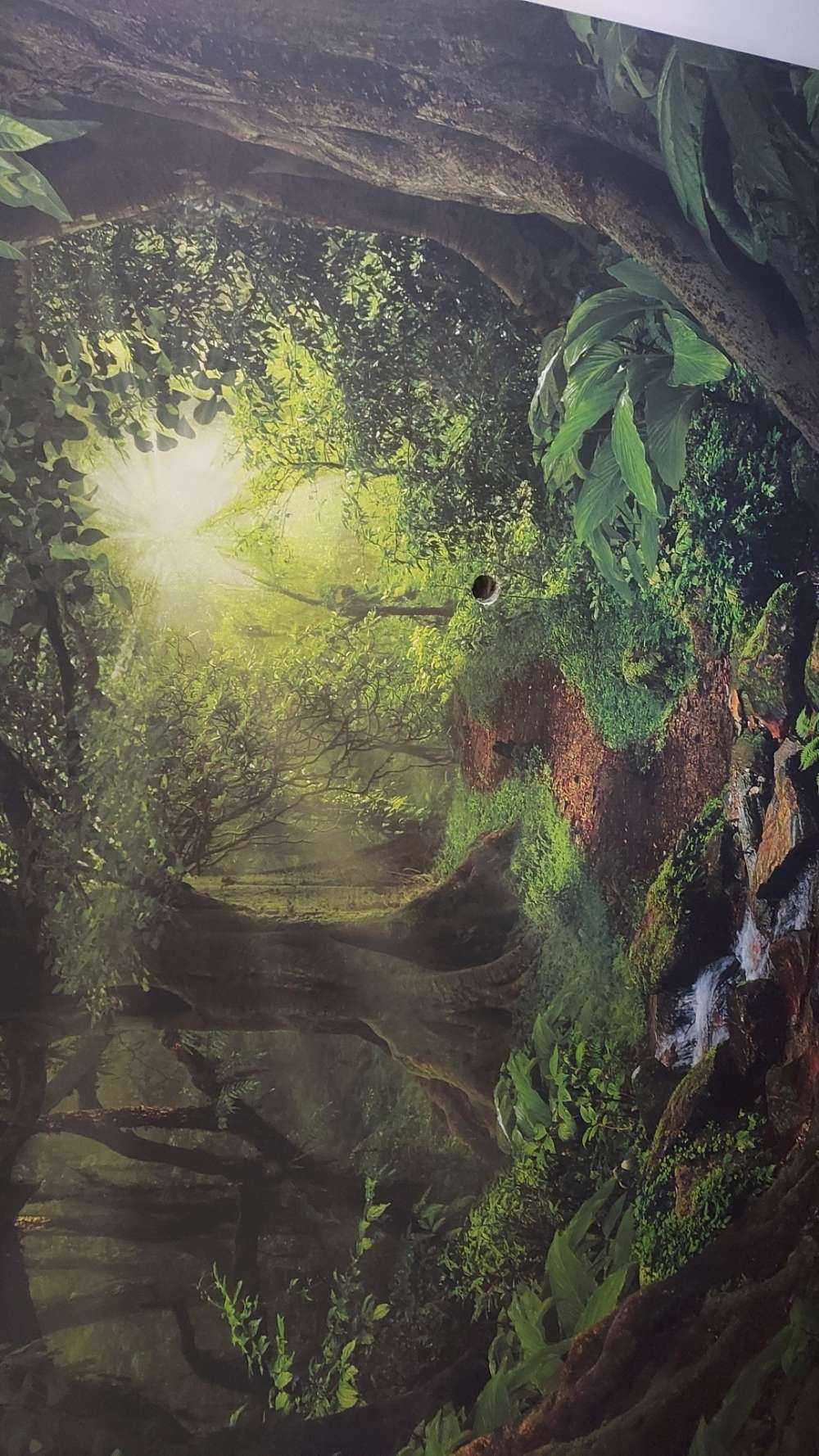 Tropischer Dschungel mit Sonnenlicht