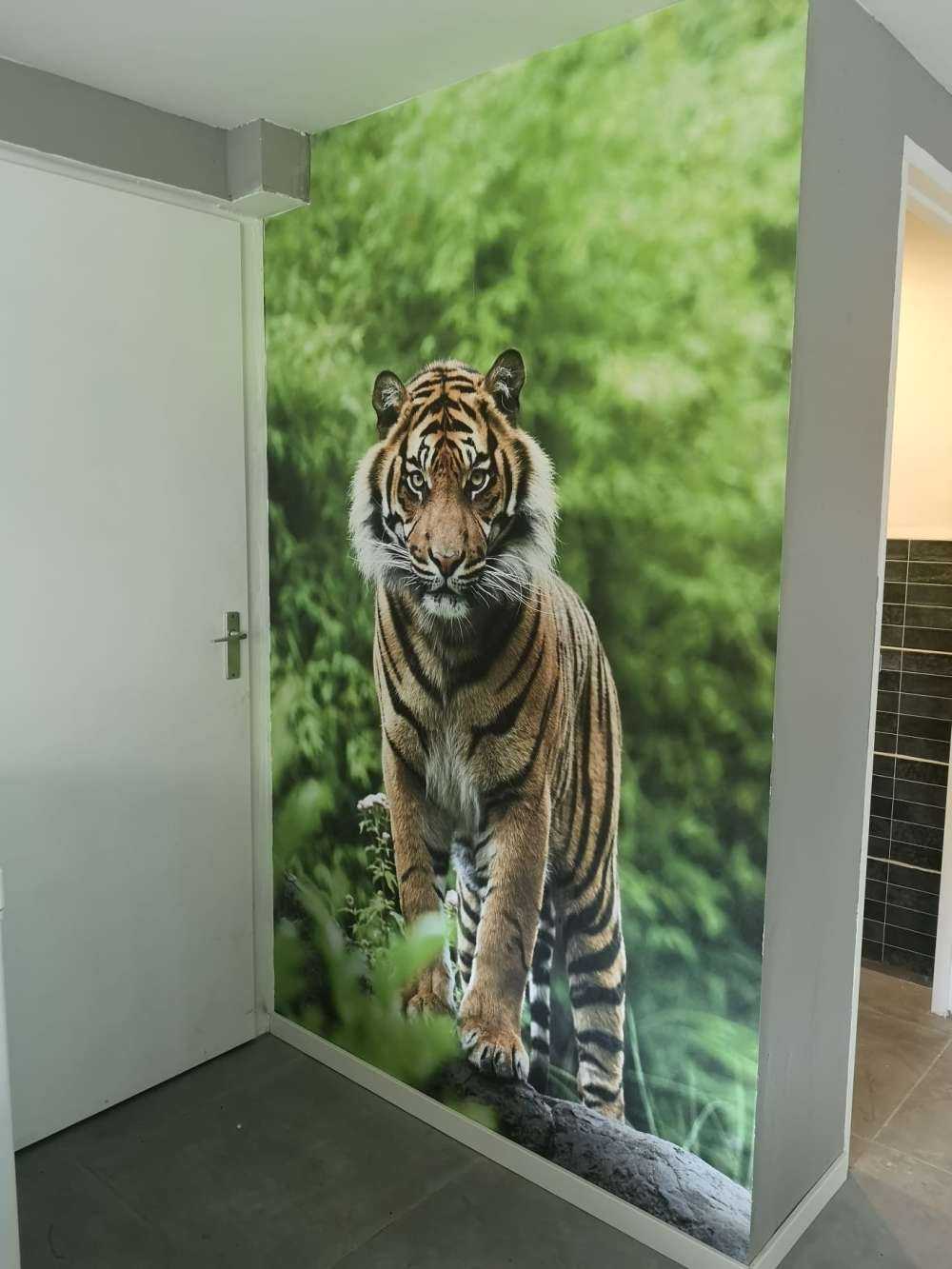 Tiger auf einem Stein