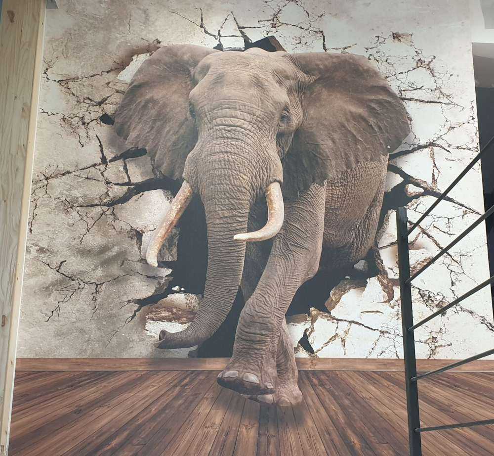 Großer Elefant aus der Wand