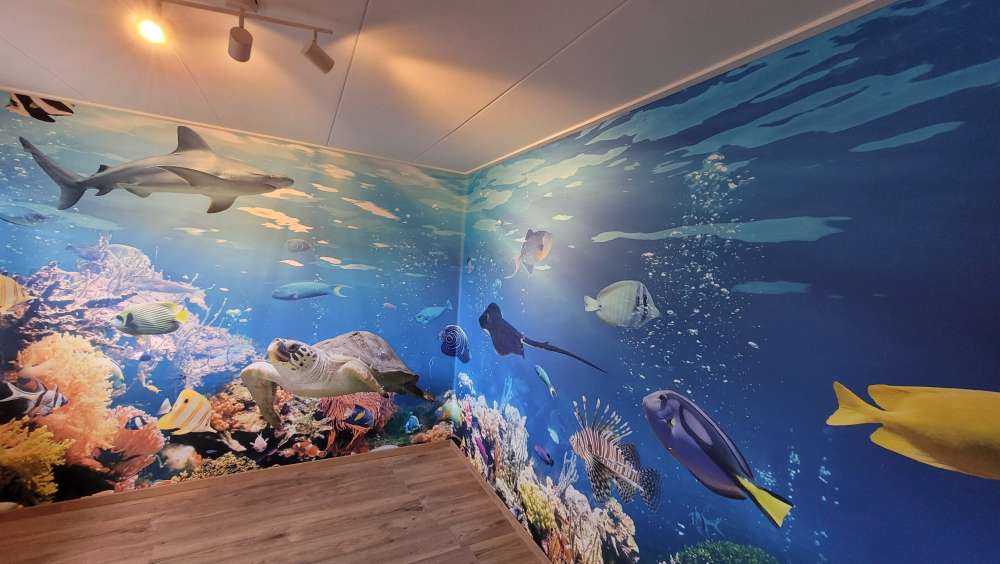 Exotische Fische