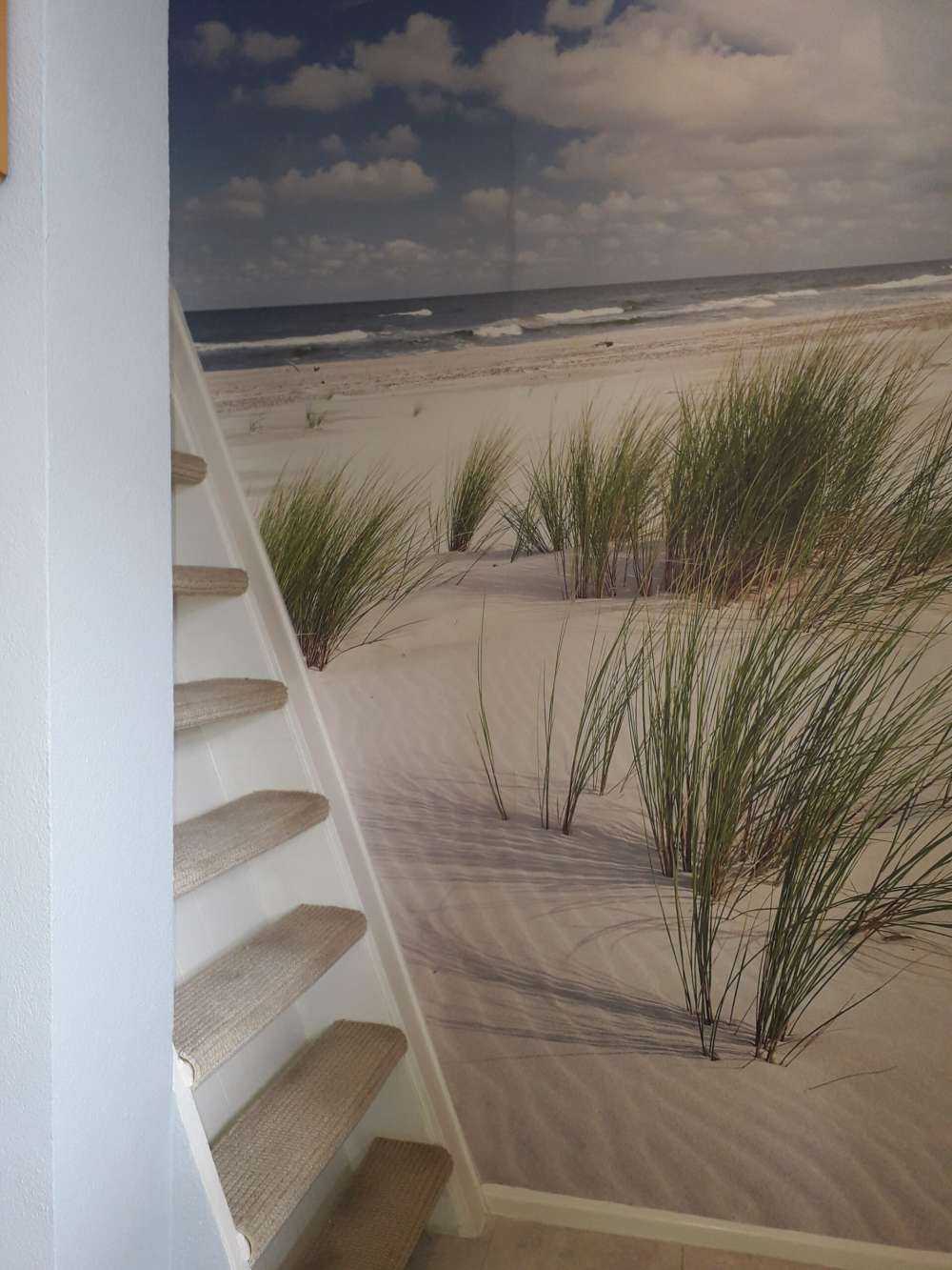 Strand mit Dünenpflanzen