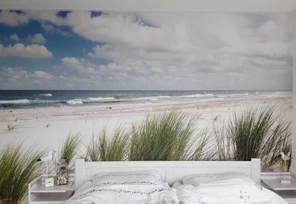 Strand mit Dünenpflanzen