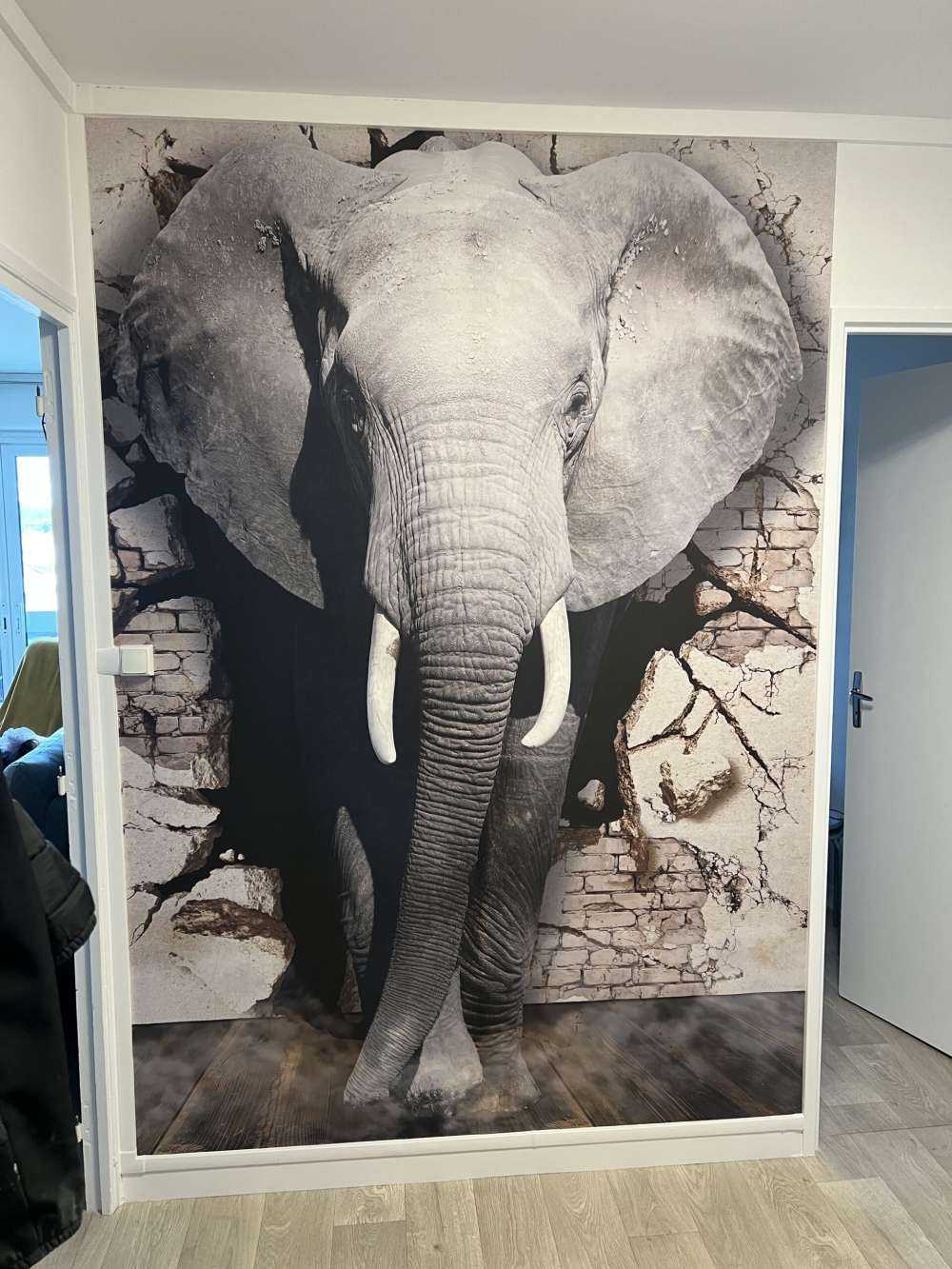 3D Elefant auf Fototapete