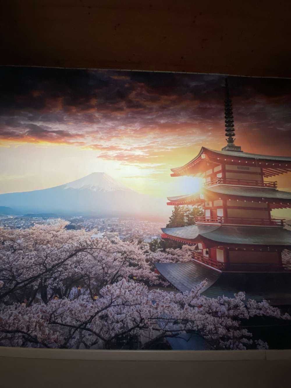 Schloss Osaka