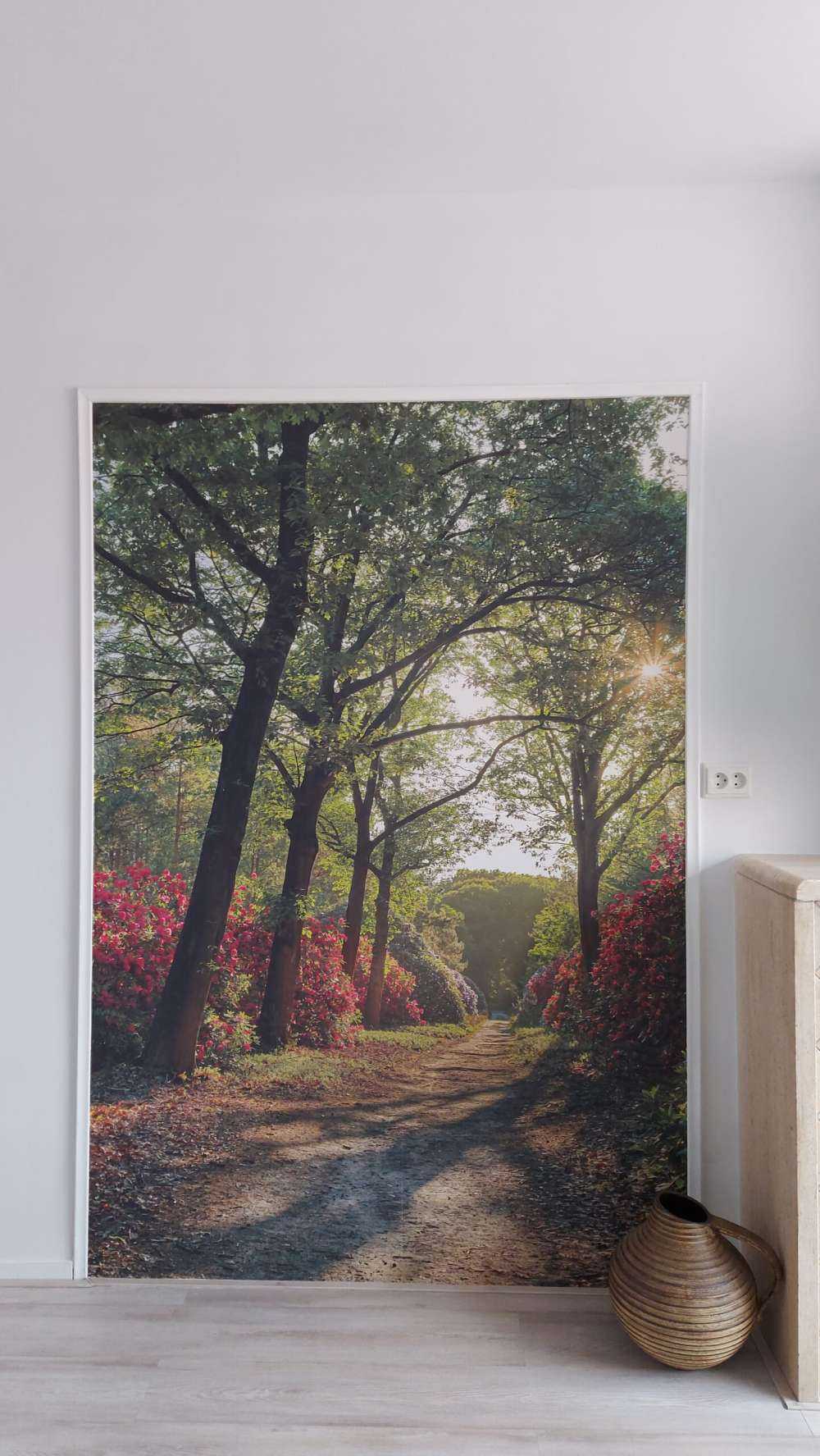 Sonnenaufgang am Pfad mit Rhododendren