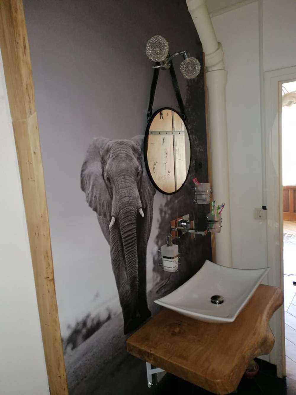Elefant mit Sonnenuntergang