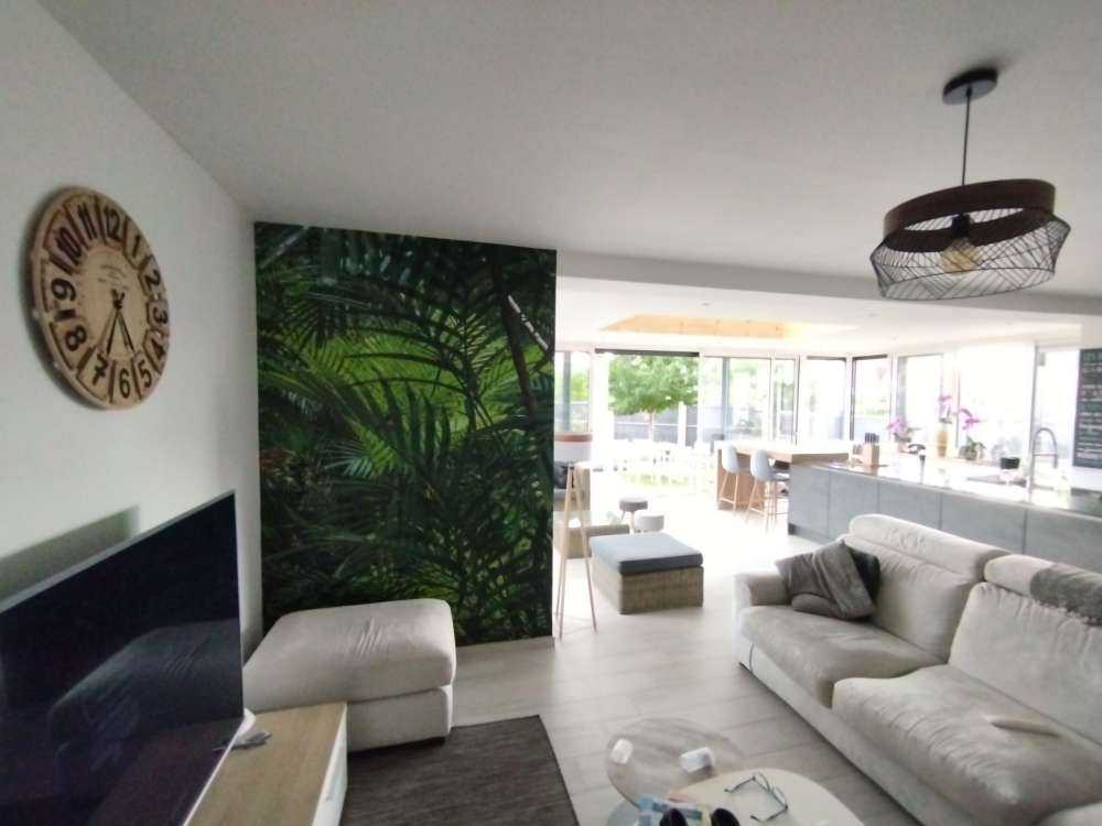 Tropischer Regenwald