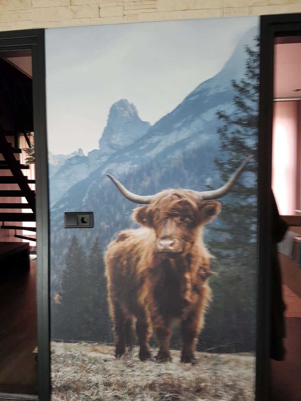 Schottischer Hochländer zwischen den Bäumen