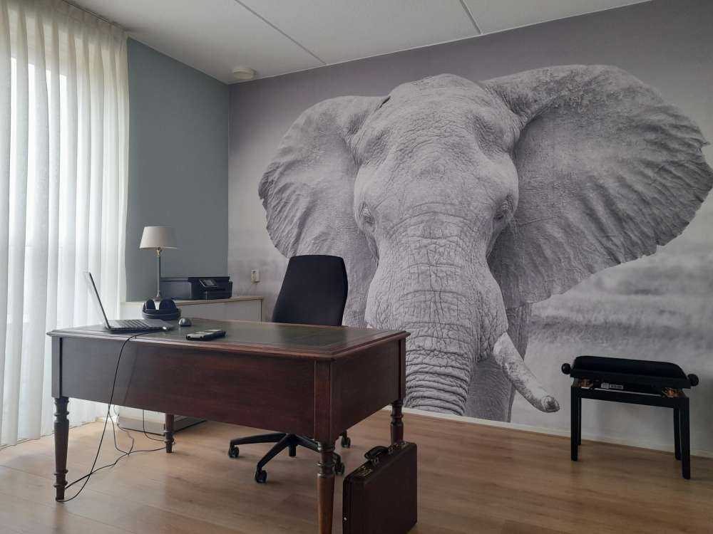 Elefant schwarz-weiß