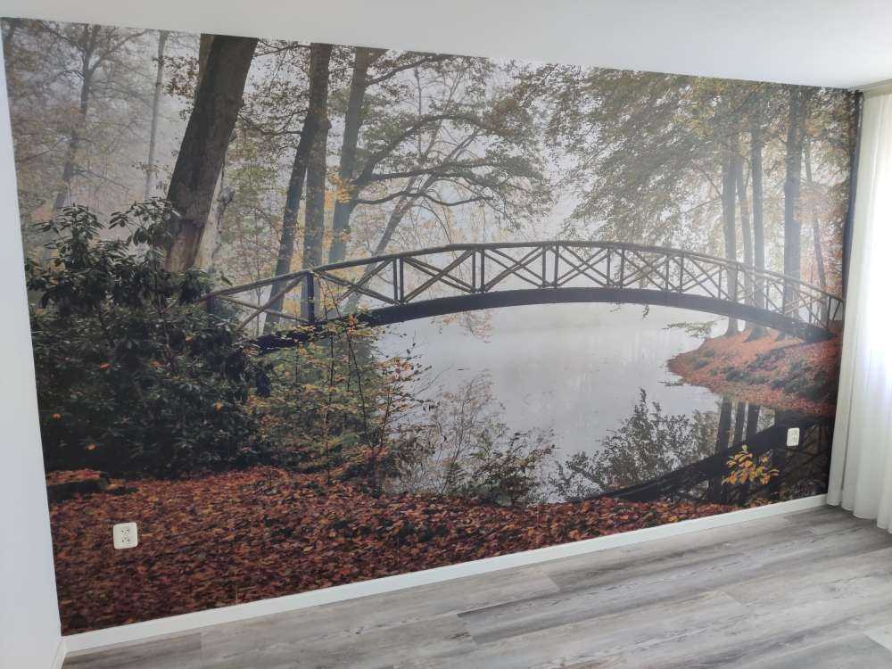 Brücke zwischen den Bäumen