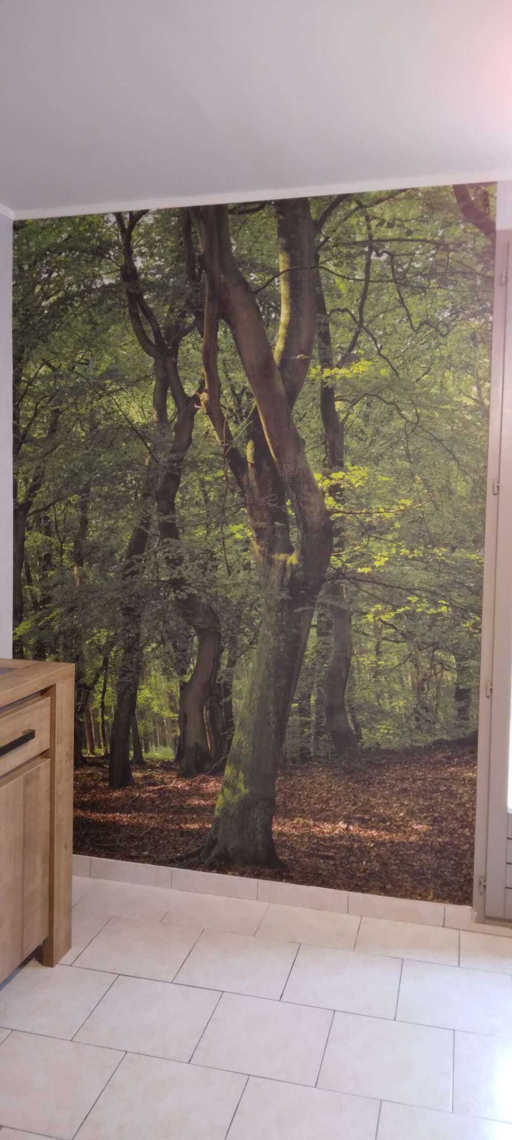 Bäume mit grünen Blättern