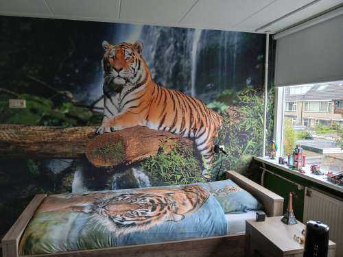 Tiger im Dschungel