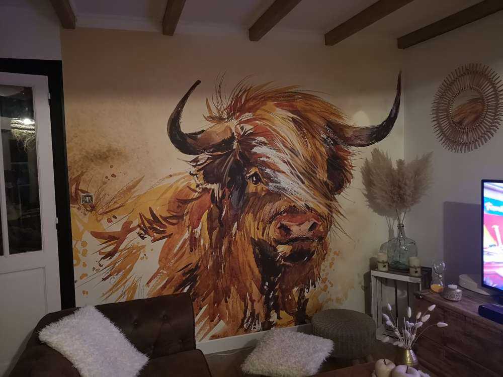Lackierter Highlander