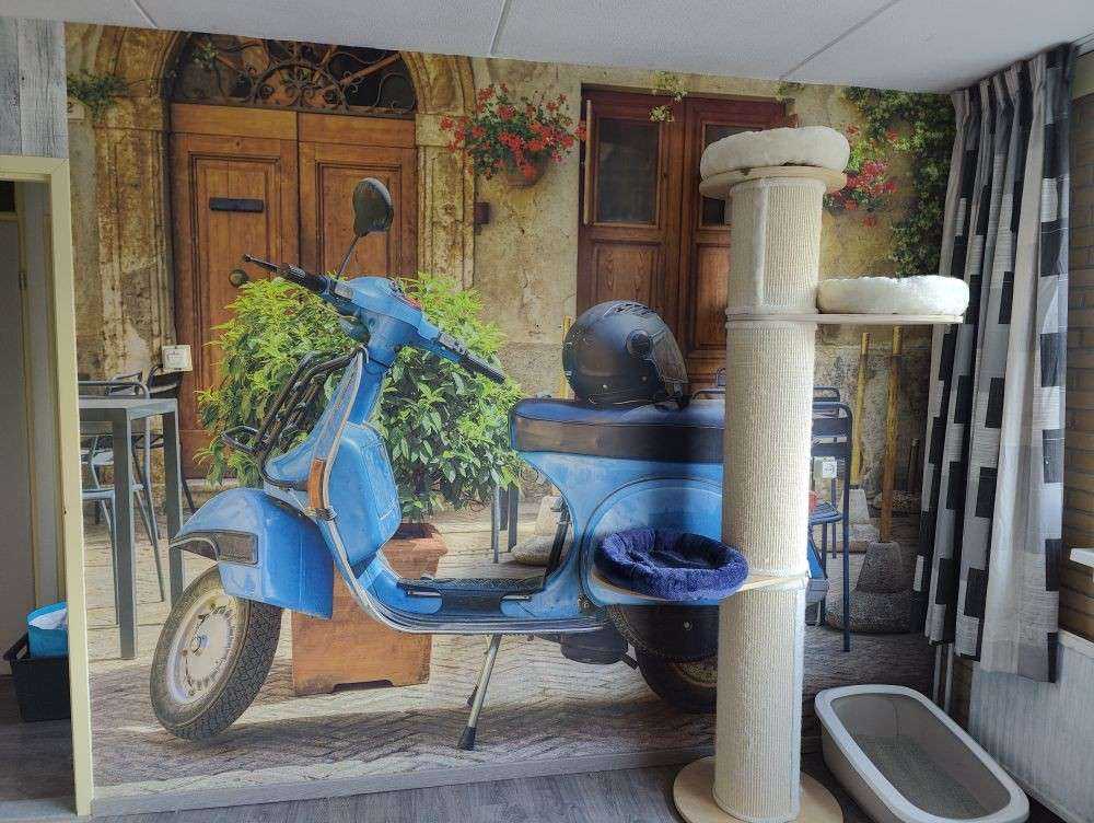 Blauer Motorroller