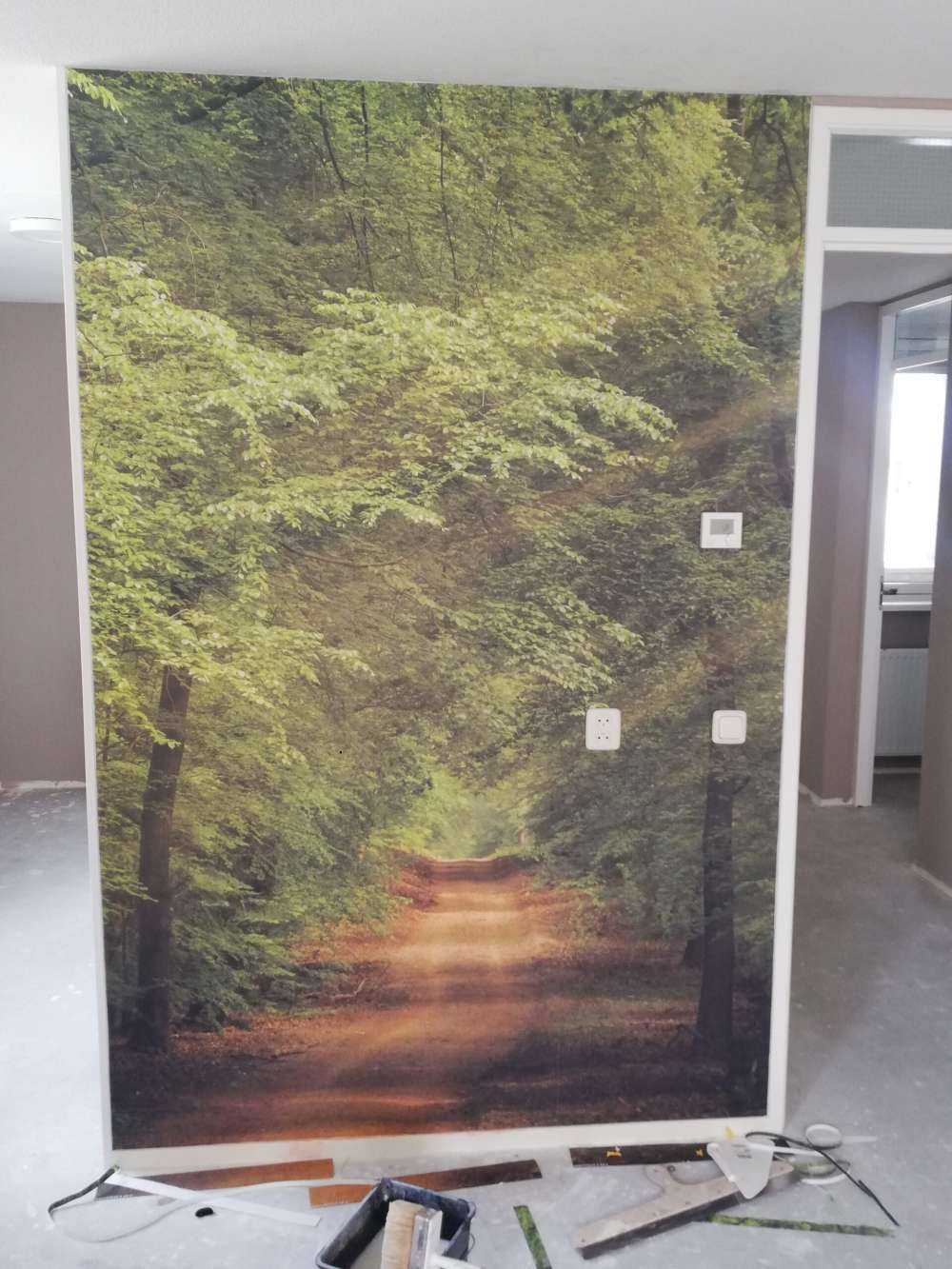 Weg im Wald mit Sonnenstrahlen