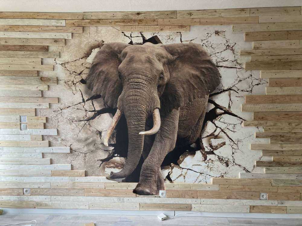 Großer Elefant aus der Wand