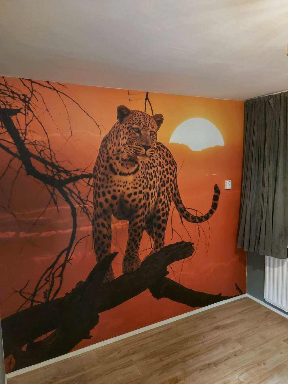 Leopard mit untergehender Sonne