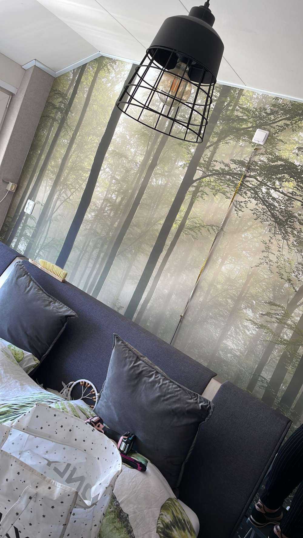 Grüner Wald im Nebel
