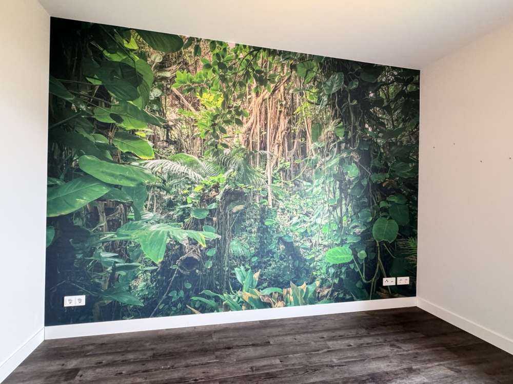 Äste im Regenwald