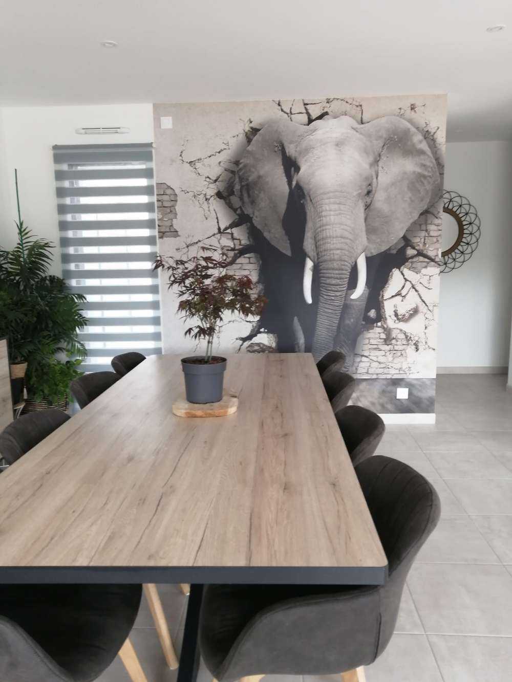 3D Elefant auf Fototapete