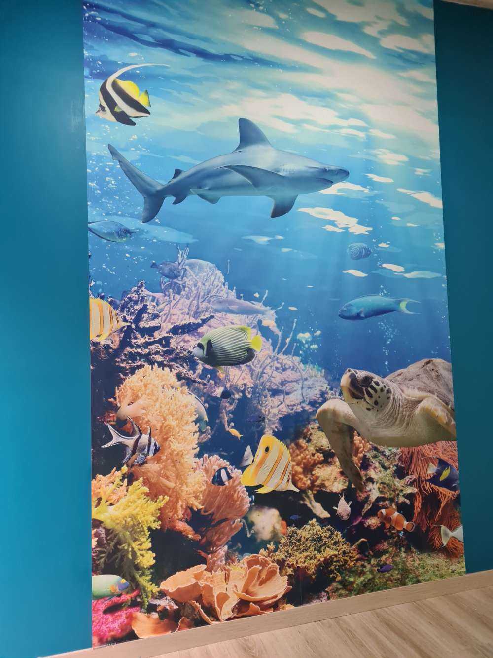 Exotische Fische