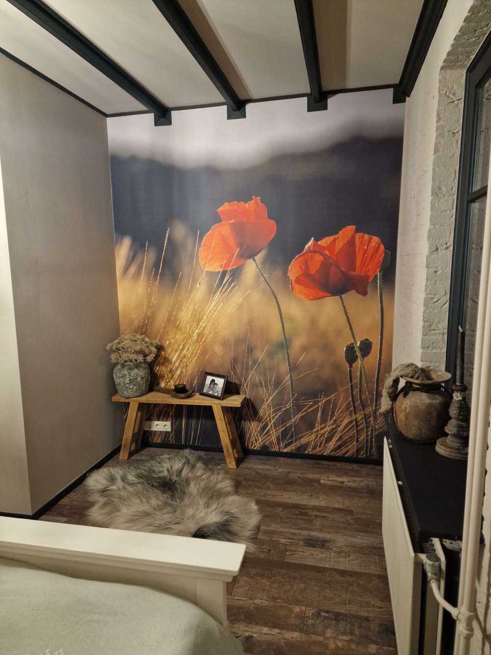 Mohn auf einem Weizenfeld