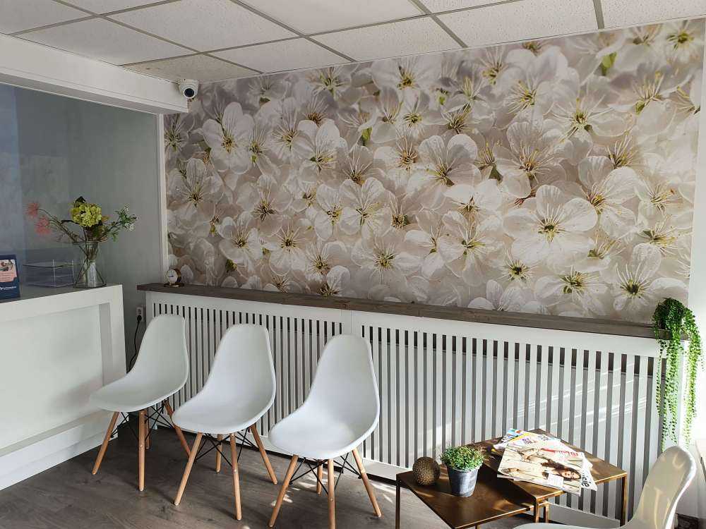 Kirschblüte